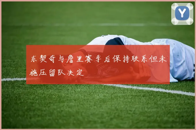 东契奇与詹里赛季后保持联系但未施压留队决定